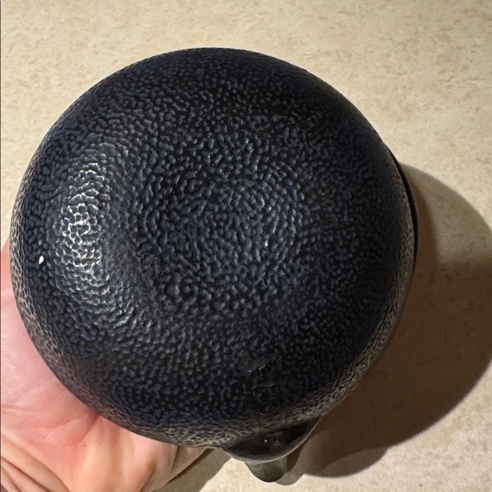 Japanese Iwachu cast iron tetsubin tea pot